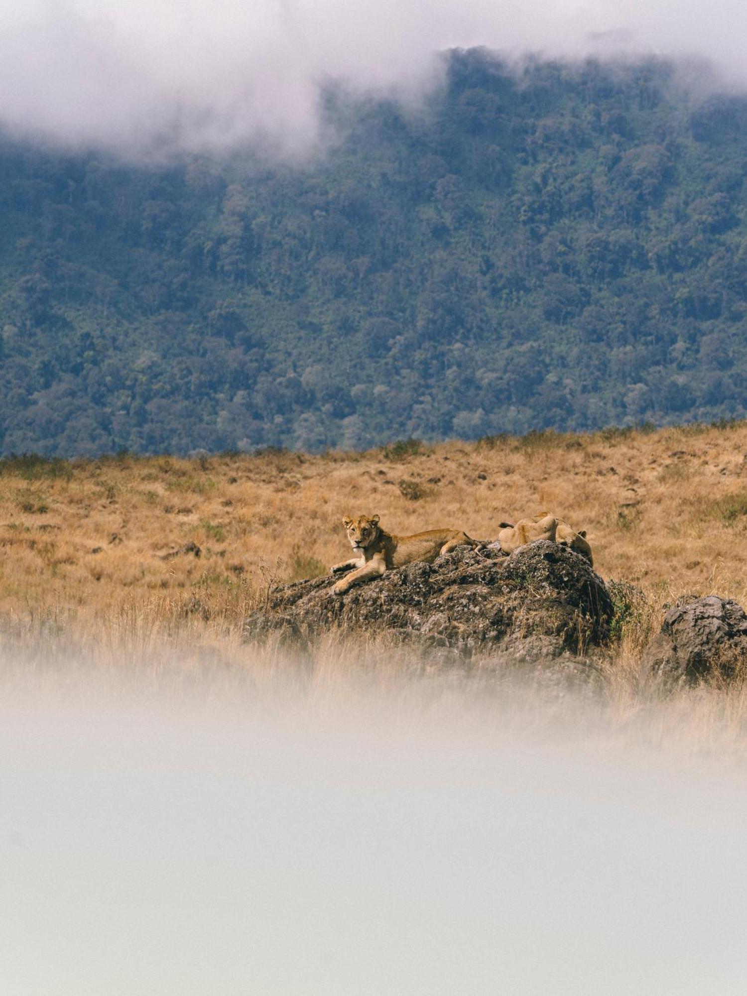 Ngorongoro Lodge Member Of Melia Collection - The Leading Hotels Of The World Dış mekan fotoğraf